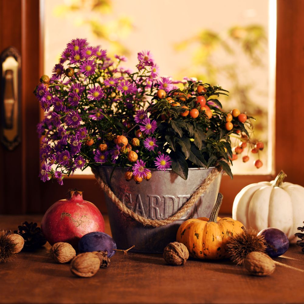 Fall Decor