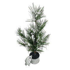 Artificial Potted Pine Tree Flocked 12 Inch (2pk)