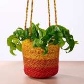Colorful Jute Basket Plant Hanger