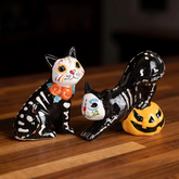 Day of the Dead Cat Salt & Pepper Shaker Set