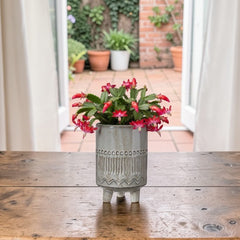 Glazed Pottery Footed Planter | Whitewash Terracotta