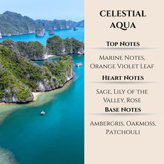 Maison Berger | Aqua Celeste | Lampe Berger Oil 500ml