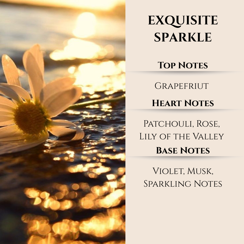 Maison Berger | Exquisite Sparkle | Lampe Berger Oil 500ml