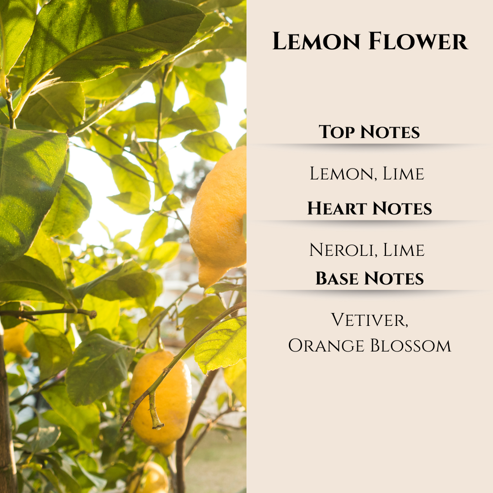Maison Berger | Lemon Flower | Lampe Berger Oil 500ml