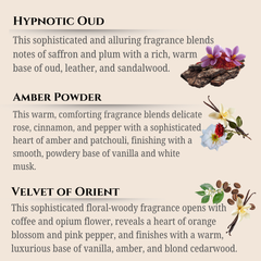 Maison Berger | Magical Fragrance Lamp Refill | Lampe Berger Oil