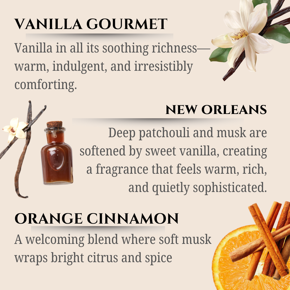 Maison Berger | Warm Trio Pack | Lampe Berger Oil