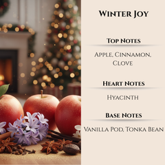 Maison Berger | Winter Joy Lampe Berger Refill 500ml