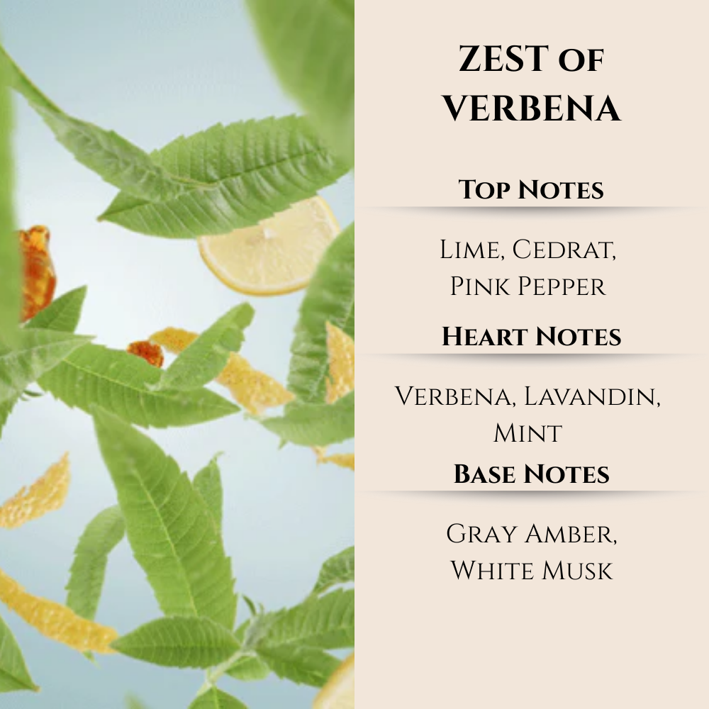 Maison Berger | Zest of Verbena | Lampe Berger Oil 500ml