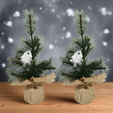 Mini Artificial Pine Tree Sapling 12 Inch Faux Burlap Wrapped Base 2 Pk
