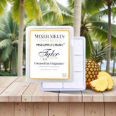 Mixer Melts | Pineapple Crush