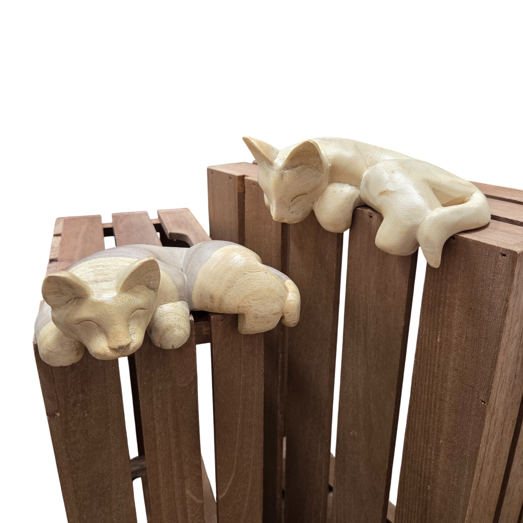 Pet Shelf Sitter | Kitten