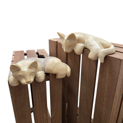 Pet Shelf Sitter | Kitten