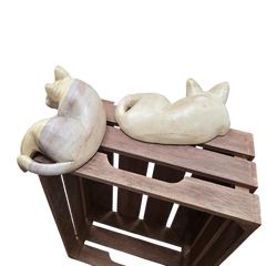 Pet Shelf Sitter | Kitten