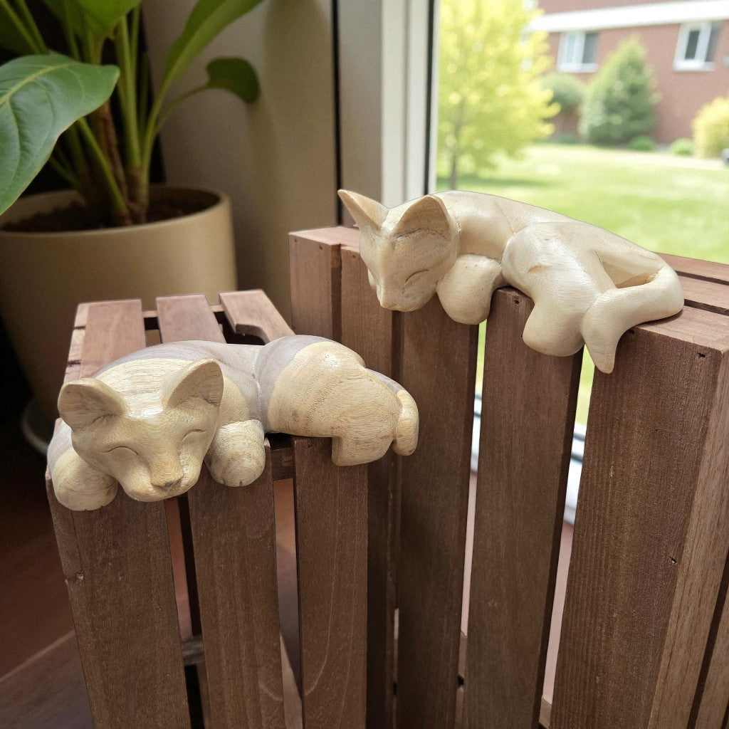 Pet Shelf Sitter | Kitten