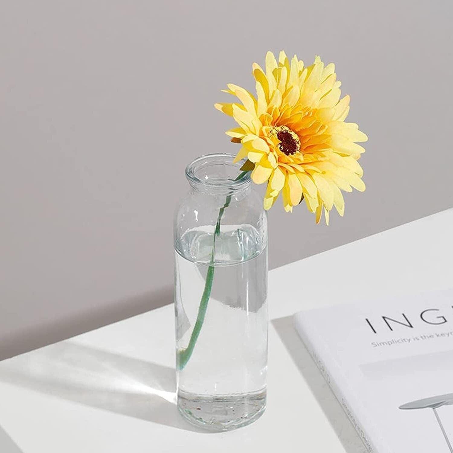 Plant Propagation Station with Wood Stand