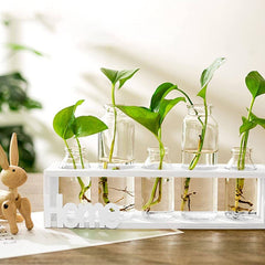 Plant Propagation Station with Wood Stand
