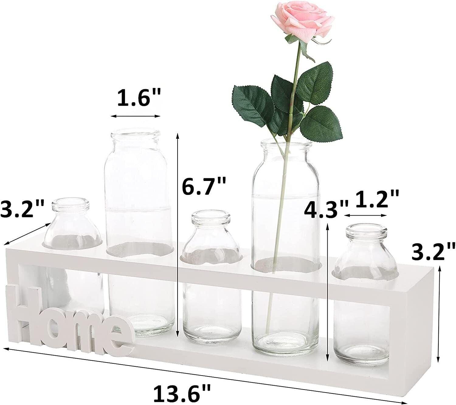 Plant Propagation Station with Wood Stand