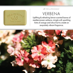Pre De Provence Hand Lotion Verbena 11 oz