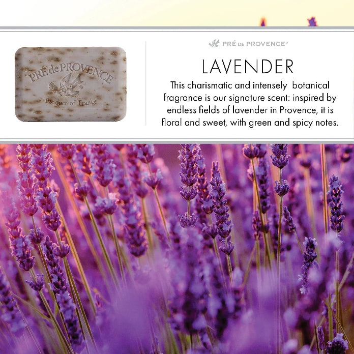 Pre De Provence Soap and Hand Cream Gift Set Lavender