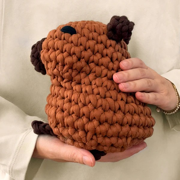 The Woobles Extra Squeezy Beginner Crochet Kit | Hugh the Capybara