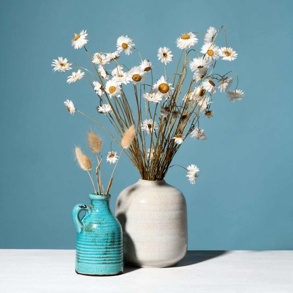 Planters & Vases