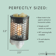 Candle Warmers | Pluggable | Chicken Wire Vintage Bulb