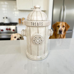 Ceramic Fire Hydrant Treat Jar | Antiqued White