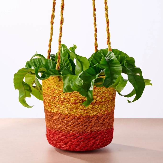 Colorful Jute Basket Plant Hanger