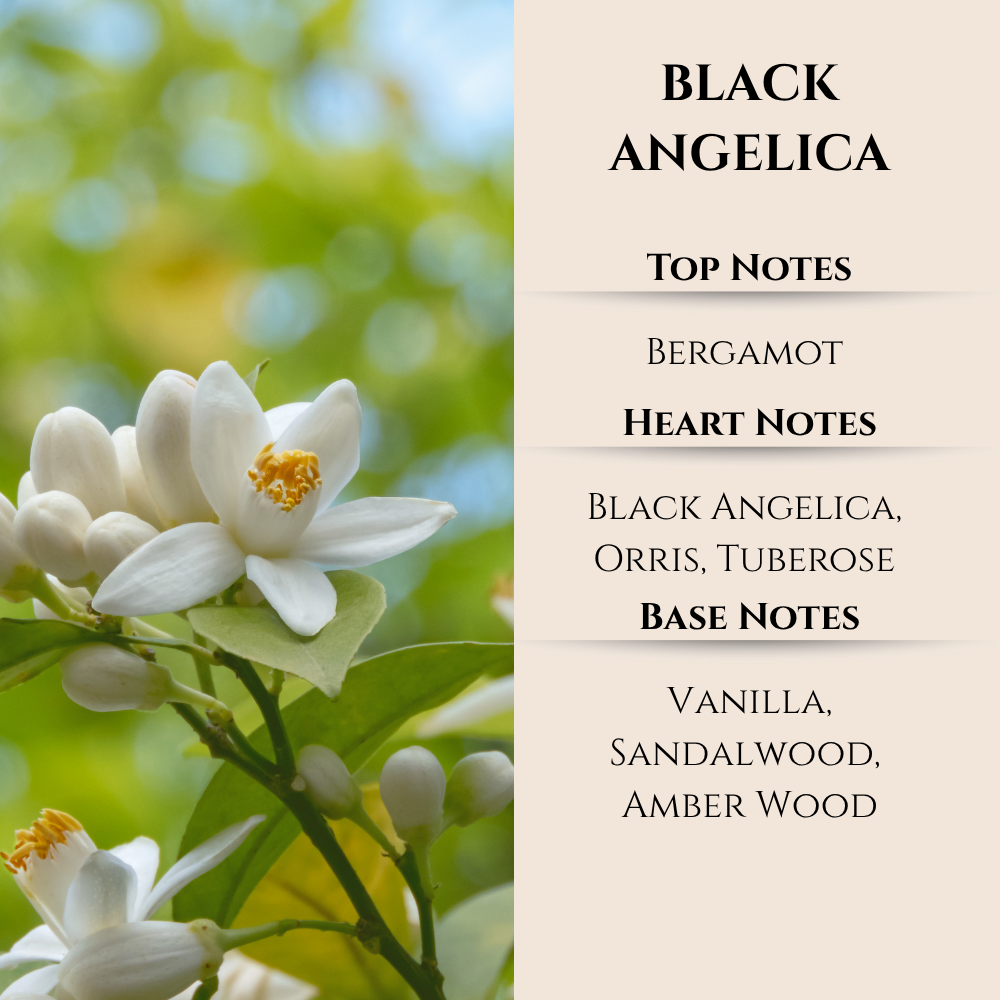 Disco Pink Lamp Gift Set by Maison Berger