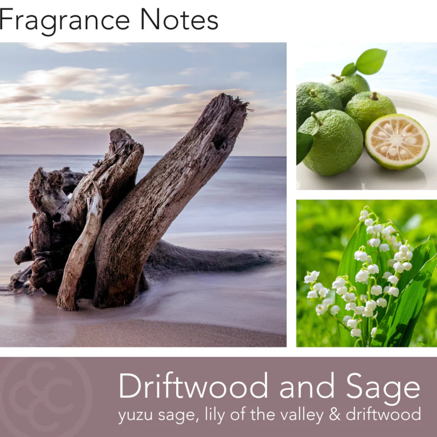 Driftwood & Sage Candle