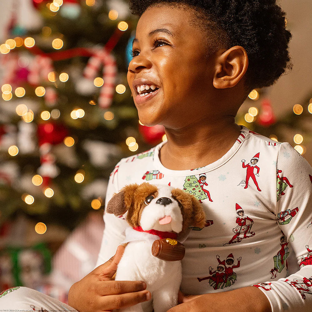 Elf Pets | St. Bernard