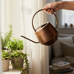 Iron Watering Can | Hammered Antique Copper Finish