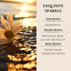 Maison Berger | Exquisite Sparkle | Lampe Berger Oil 500ml