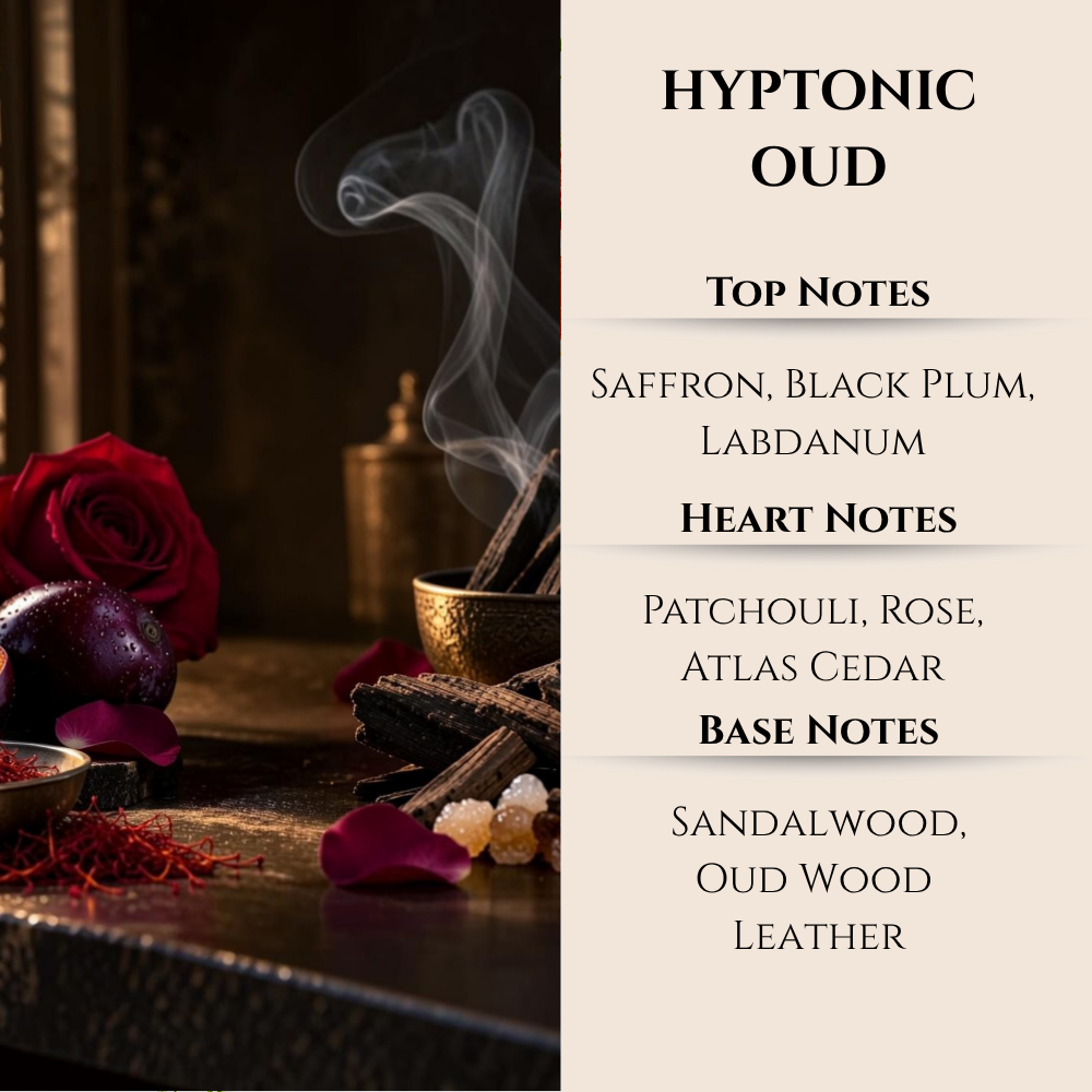 Maison Berger | Hypnotic Oud | Lampe Berger Oil 500ml