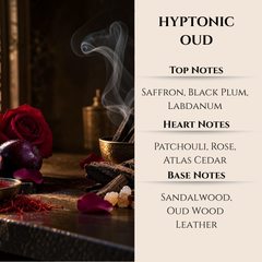 Maison Berger | Hypnotic Oud | Lampe Berger Oil 500ml
