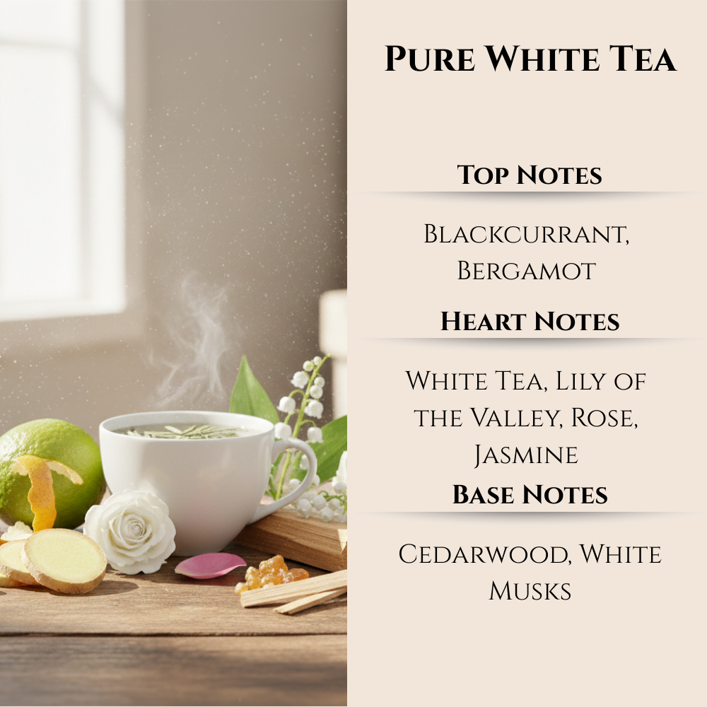 Maison Berger | Pure White Tea | Lampe Berger Oil