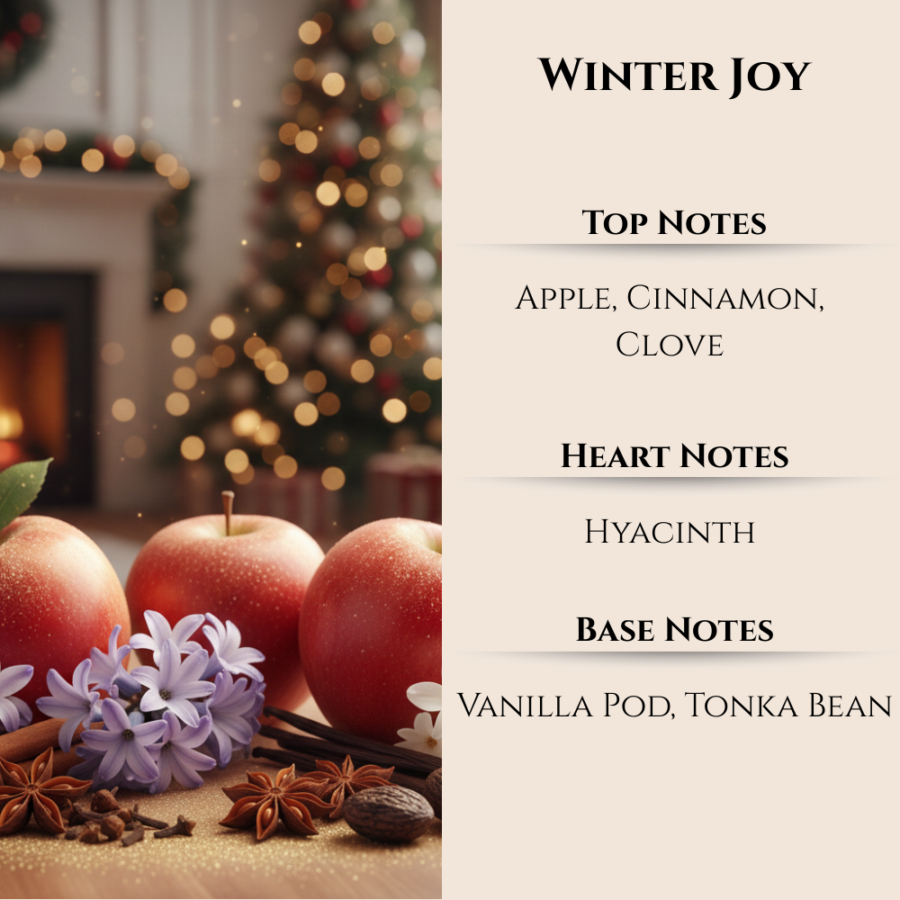 Maison Berger | Winter Joy | Lampe Berger Oil 500ml