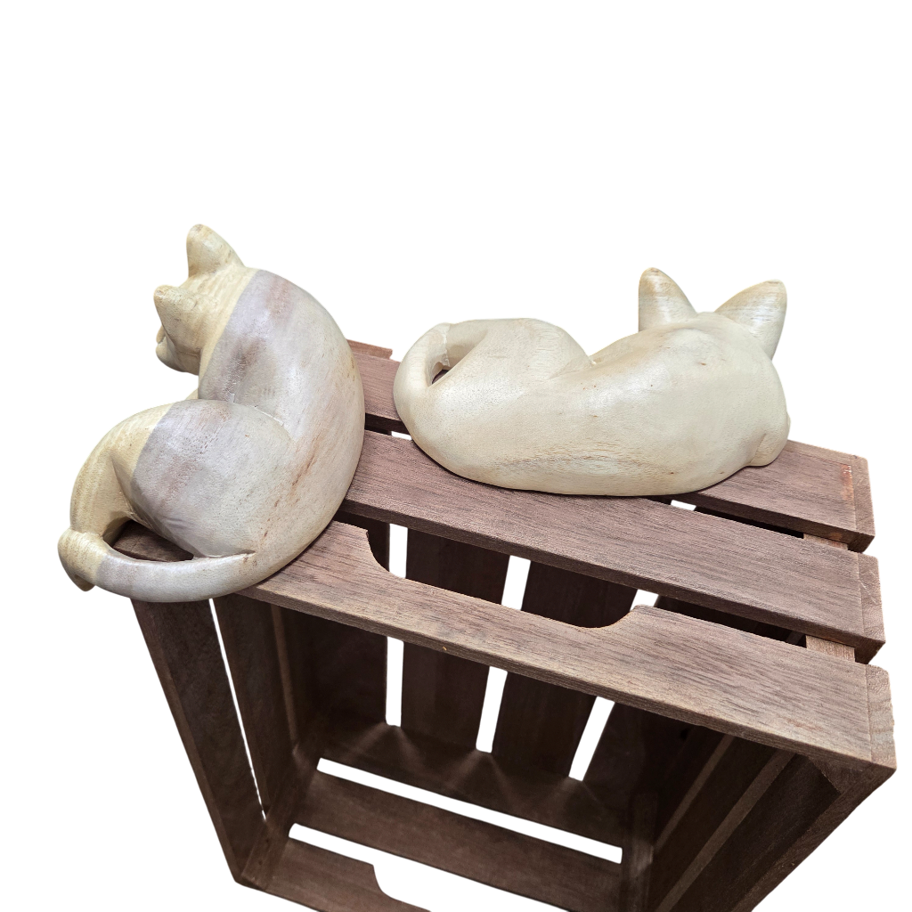 Pet Shelf Sitter | Kitten