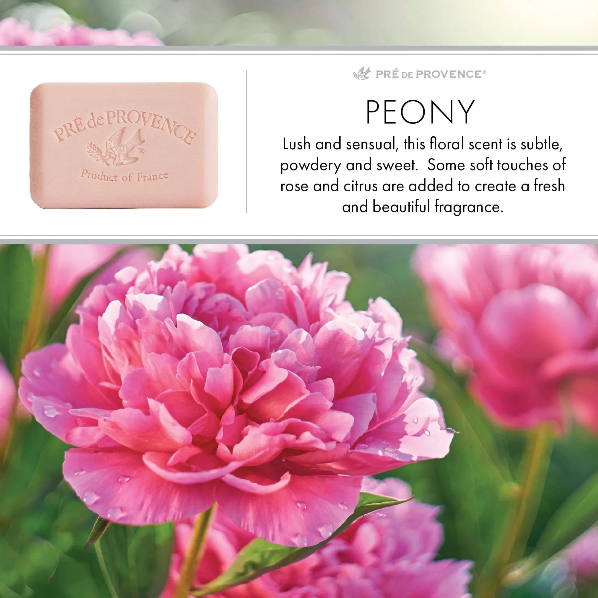 Pre De Provence Soap PEONY 3 Pack (250 Gram Ea.) Quad-milled