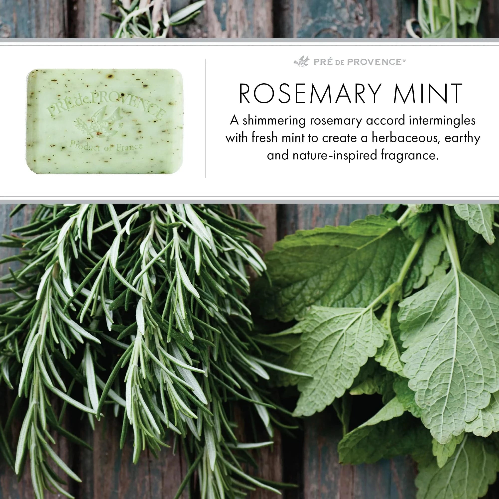 Pre De Provence Soap ROSEMARY MINT 3 Pack (250 Gram Ea.) Quad-milled