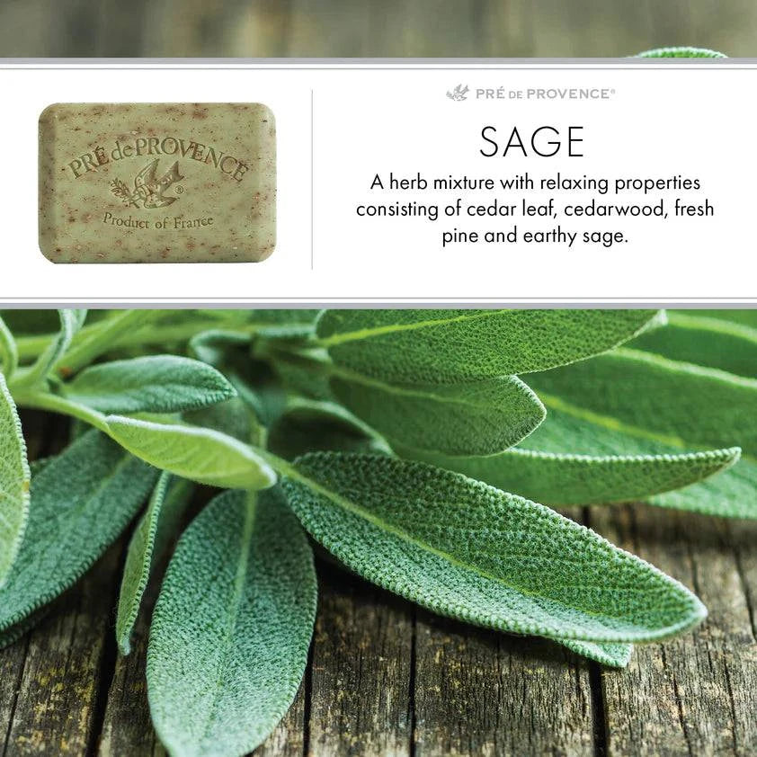 Pre De Provence Soap SAGE 3 Pack (250 Gram Ea.) Quad-milled