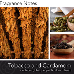 Tobacco & Cardamon Candle