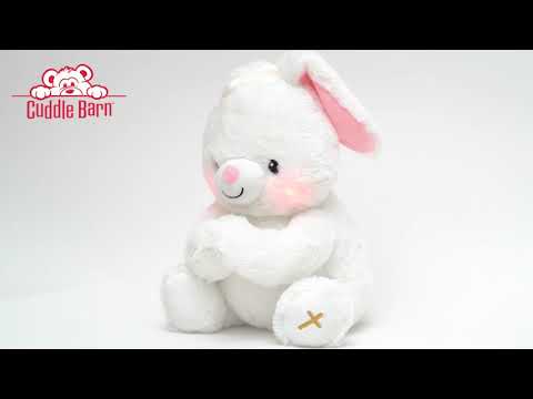 Cuddle Barn Paws for Prayer - Bunny
